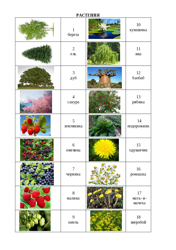 Slide 10