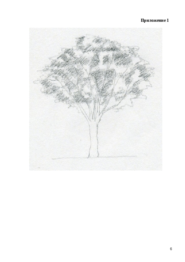 Slide 7